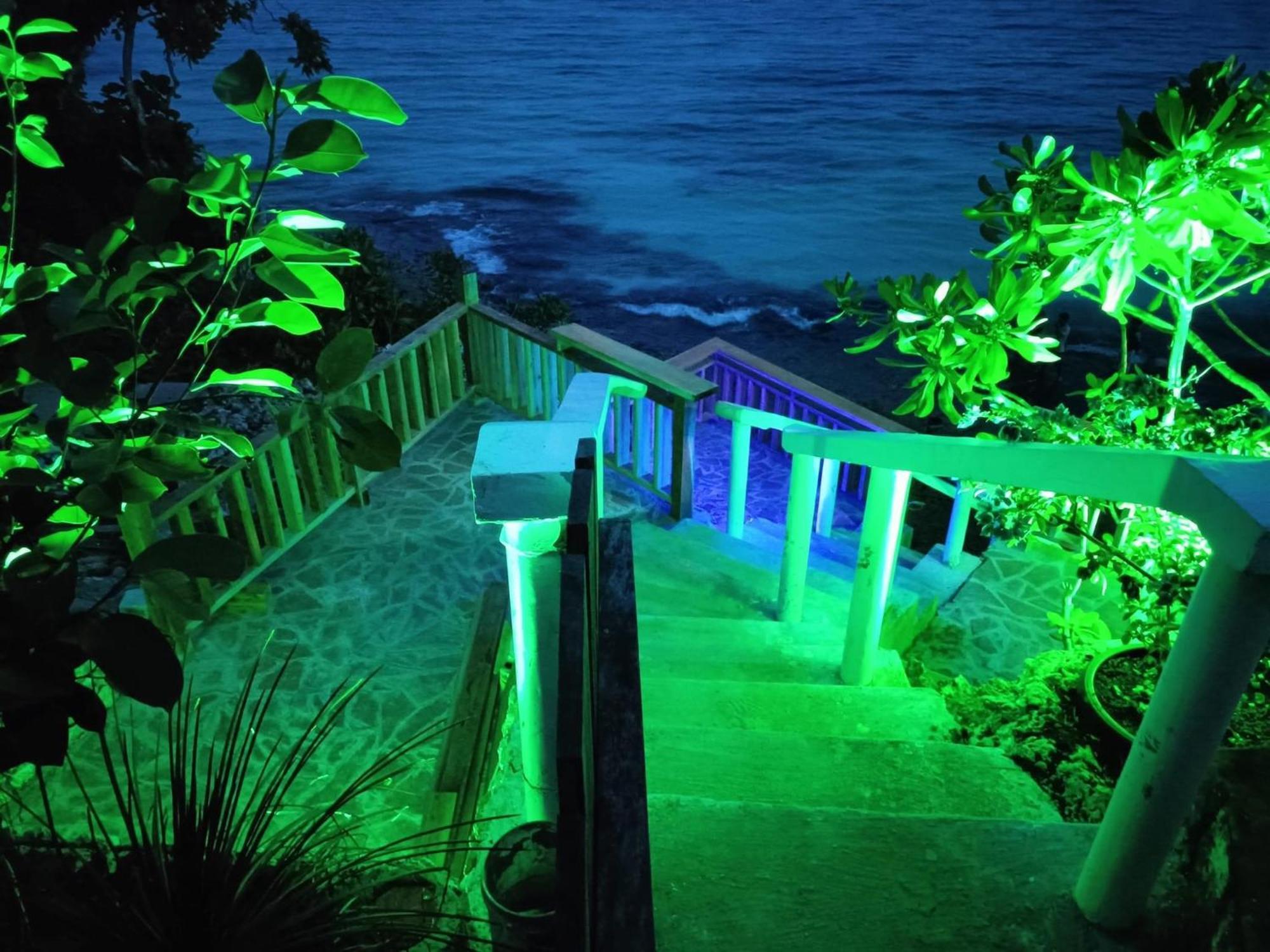 Blue Raven Resort Anda  Exterior foto