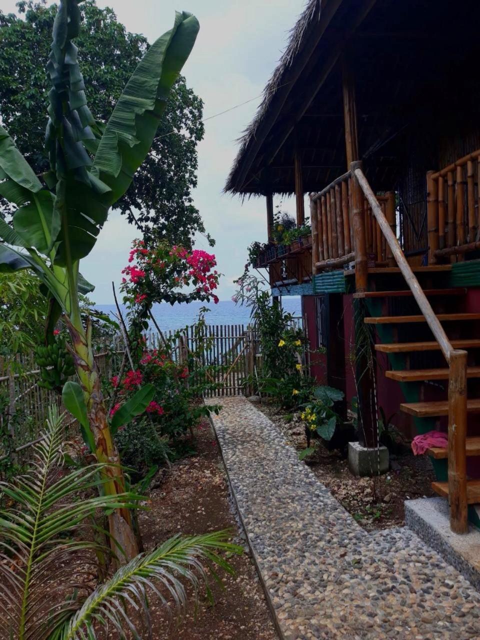 Blue Raven Resort Anda  Exterior foto